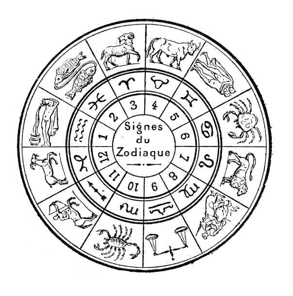 consult famous astrologer ahmedabad