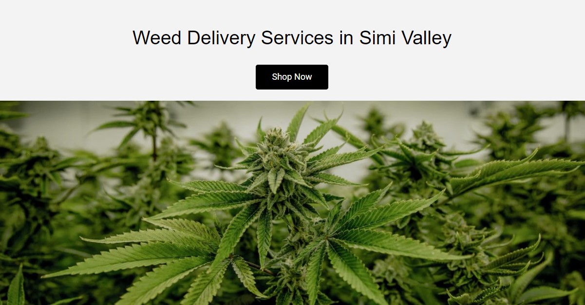 Weed Delivery service