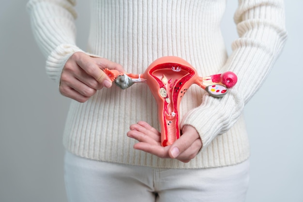 Understanding the Connection Between Infertility and Fibroids