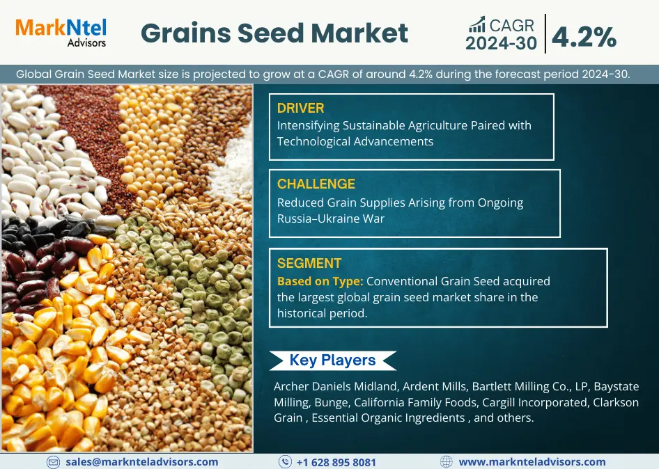 Grain Seed Market