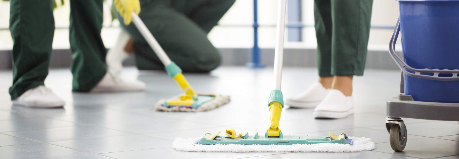 House Cleanup Services in Concord