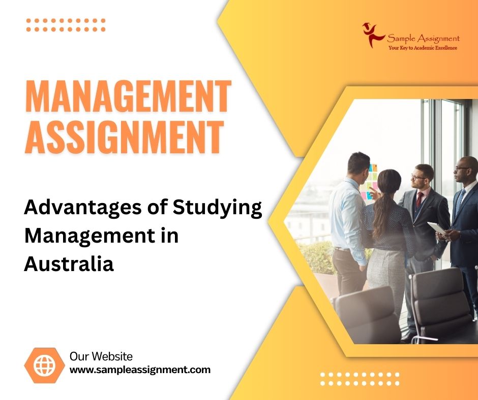 management assignment help online