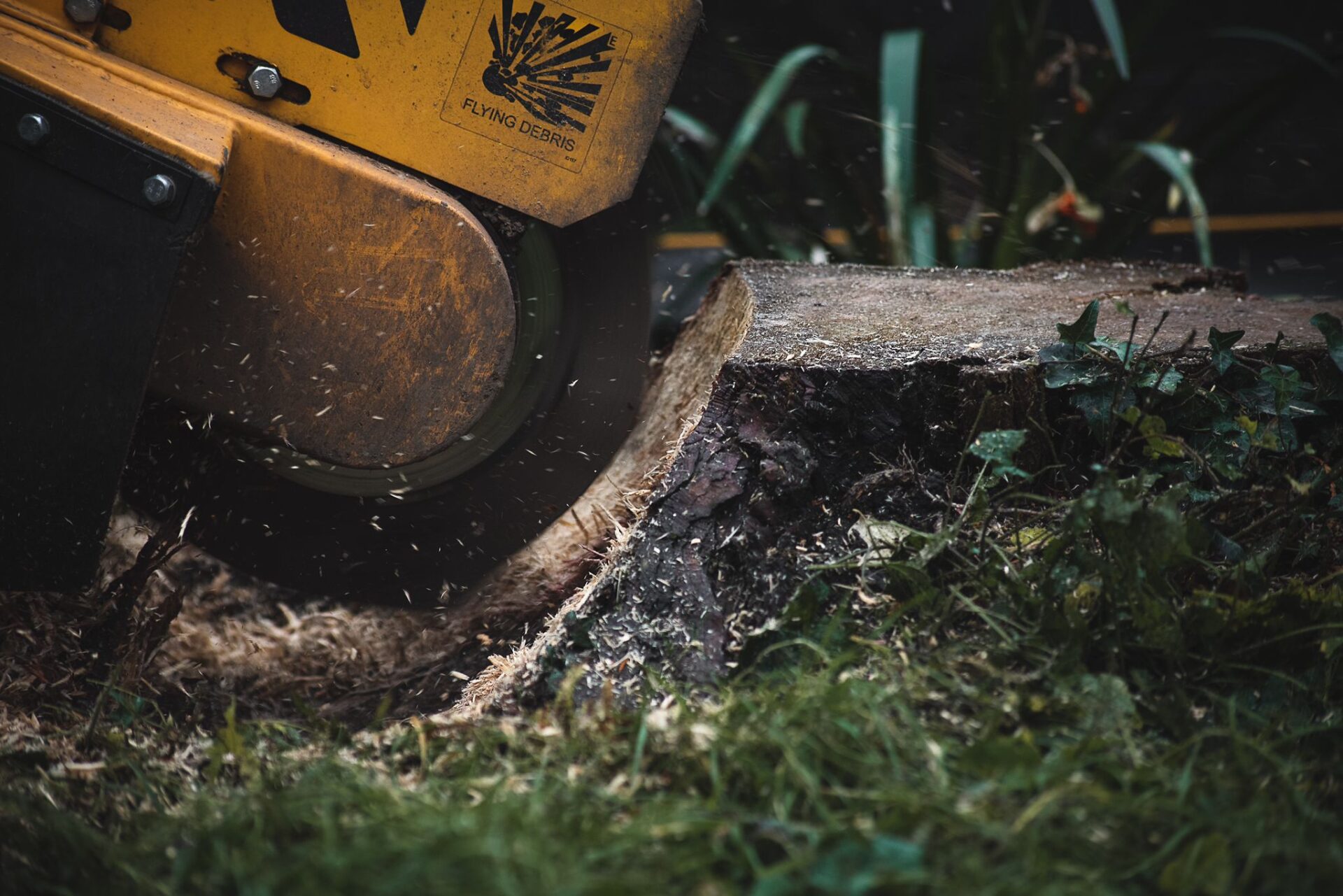 Stump Removal North London