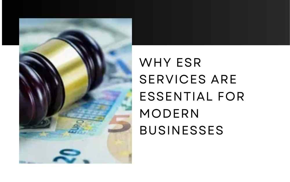 Why ESR Services Are Essential for Modern Businesses