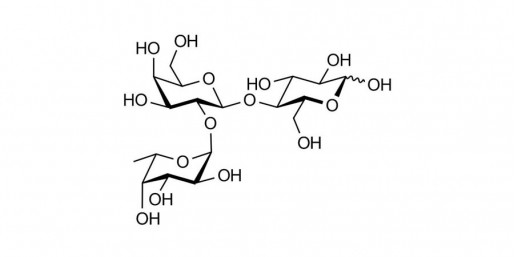 2'FL Analytical Reference