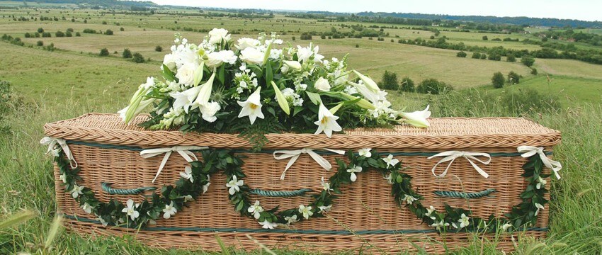 Eco-Friendly Funeral Services Market Trends