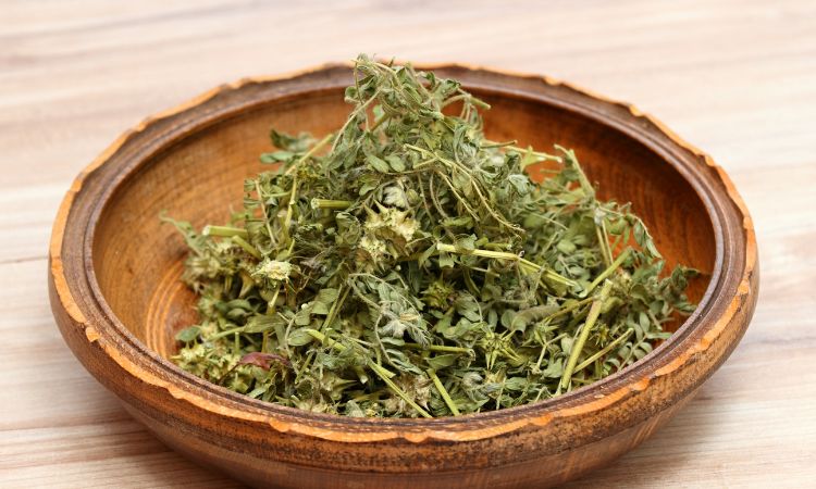 Tribulus Terrestris Extract Market