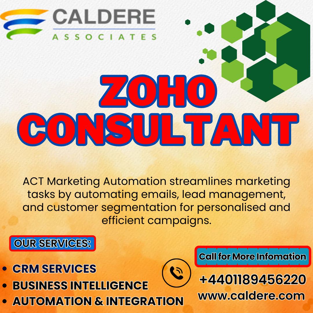 zoho consultant