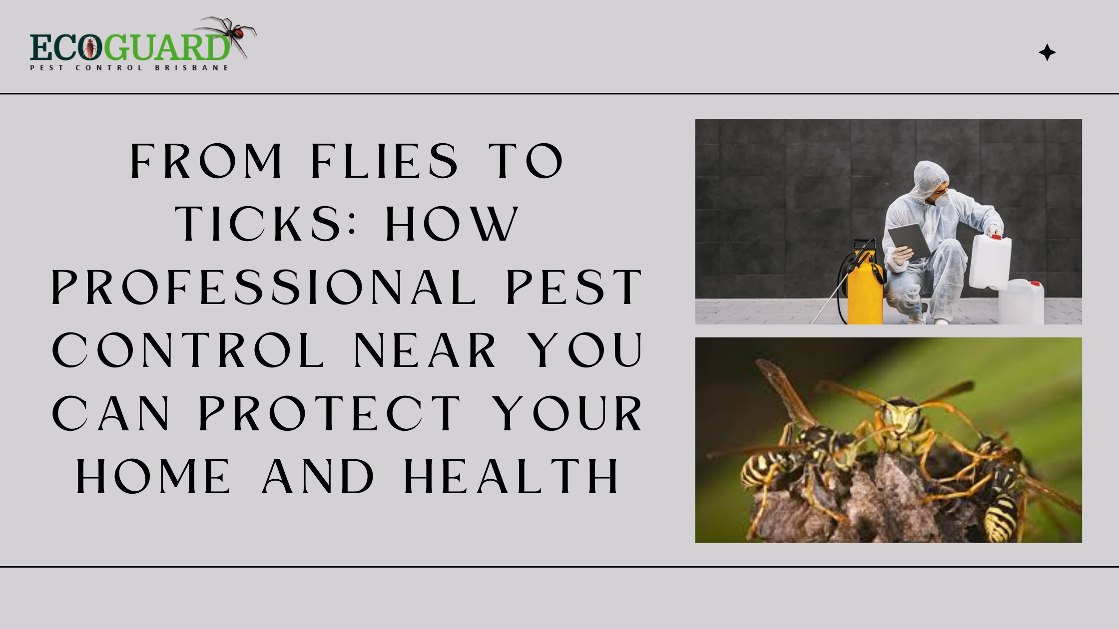 From Flies to Ticks: How Professional Pest Control Near You Can Protect Your Home and Health