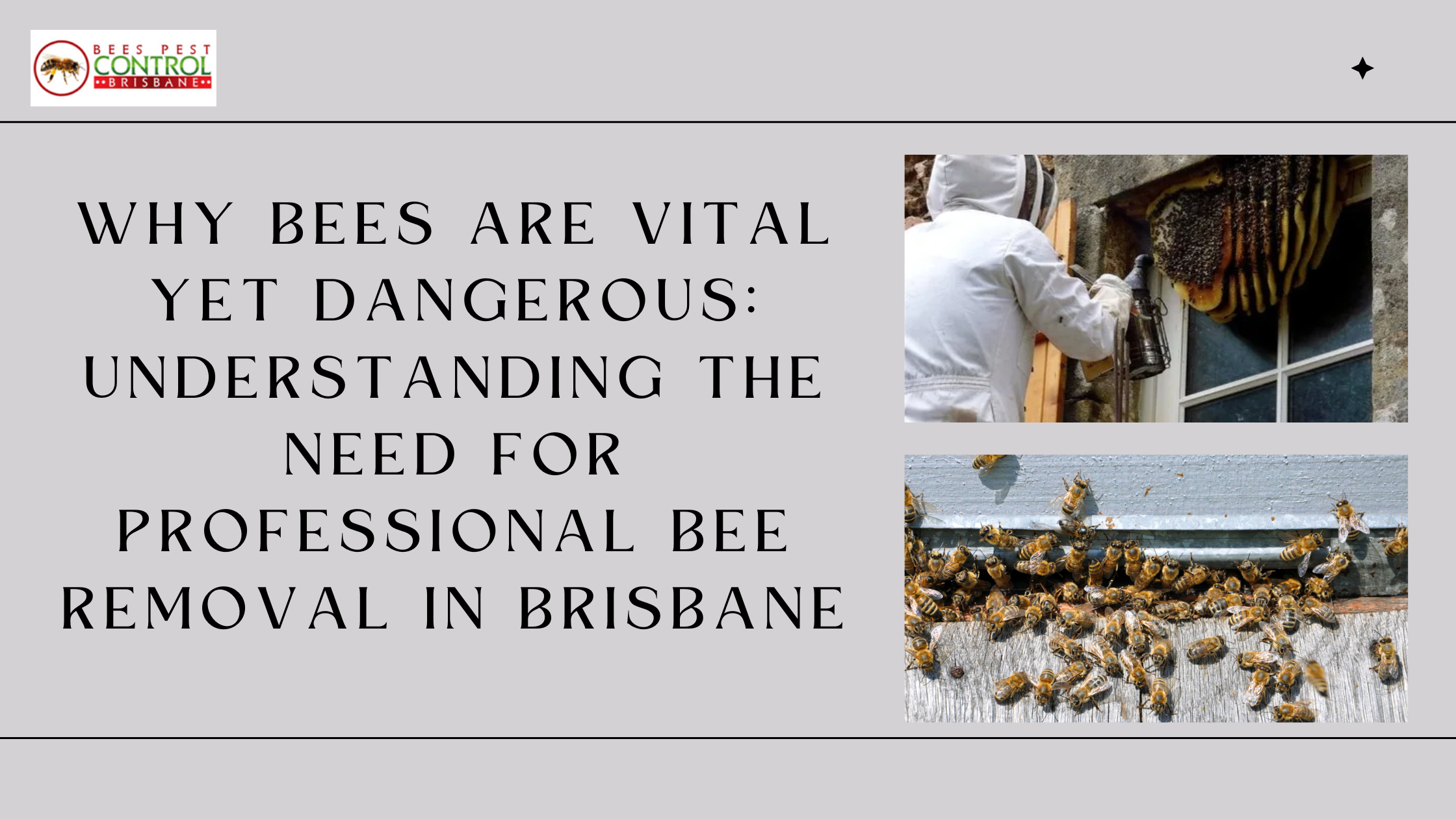 Why Bees Are Vital Yet Dangerous: Understanding the Need for Professional Bee Removal in Brisbane