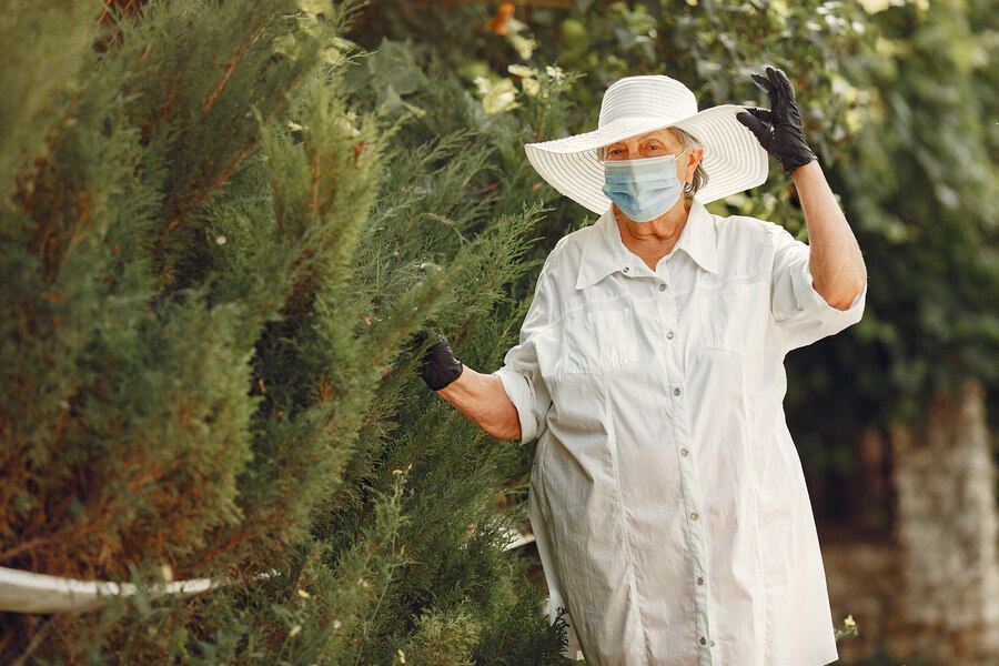 Seasonal Pest Control: What to Expect During Each Season in Katy, TX