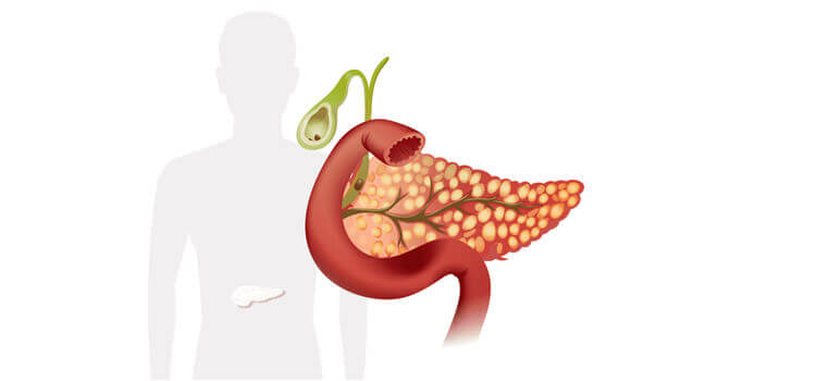 liver-cancer-surgery-best-oncologists-in-chennai