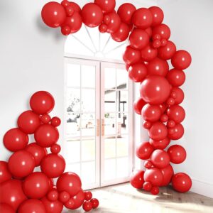 https://houseofparty.com/collections/balloon-garlands