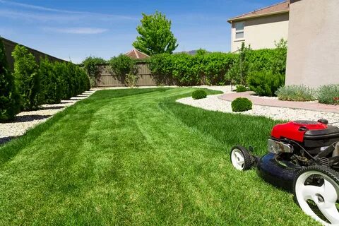 Lush Green Lawn