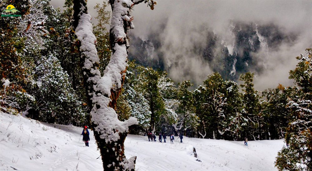 Nag Tibba Trek