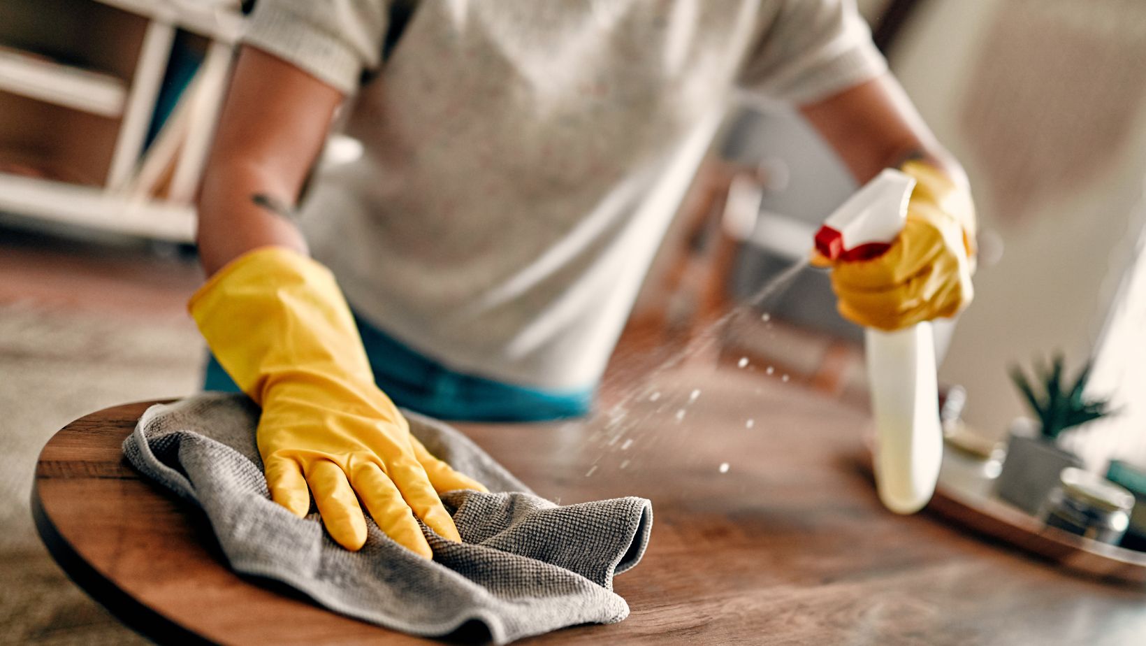 Residential and Commercial Cleaning Services