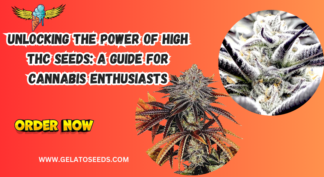 high THC seeds